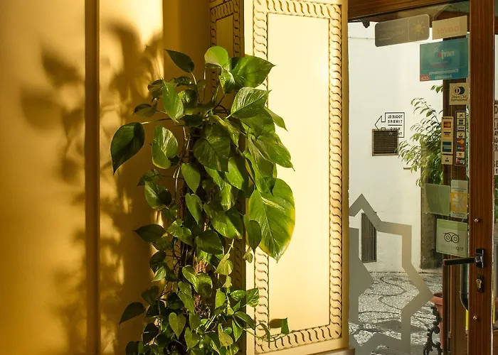 Hotel Toboso Apar - Turis