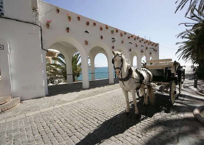 Toboso Apar - Turis Hotell